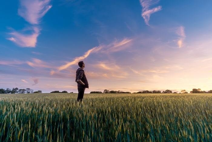 A person standing in an open field at sunset